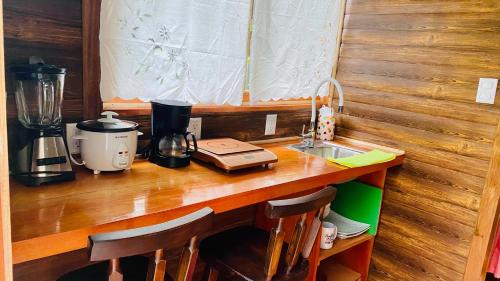 a kitchen counter with a blender and a sink at Guest House Pura Vida in Quepos