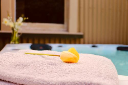 Una toalla con una flor amarilla junto a una bañera. en Historic Clyde cottage guest house en Clyde