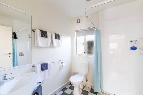 La salle de bains est pourvue de toilettes, d'un lavabo et d'une douche. dans l'établissement Anatoki Lodge Motel, à Takaka