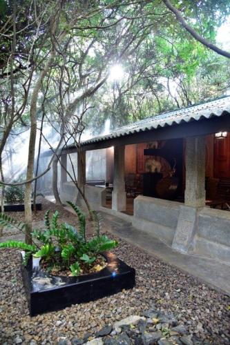 Zahrada ubytování Akein Jungle Resort - Sigiriya