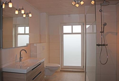 a bathroom with a shower and a sink and a toilet at Ferienhaus Polkvitz in Marlow