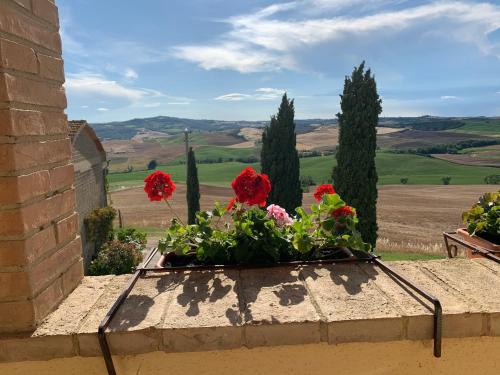 a window box with flowers on a wall at Agriturismo Poggio Tobruk in Pienza