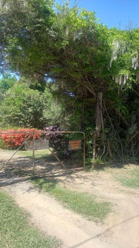 a sign in front of a tree with flowers at Liquid Amber in Hogsback