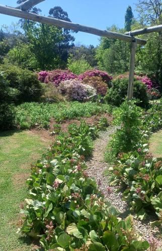 a garden with flowers and a pergola at Liquid Amber in Hogsback