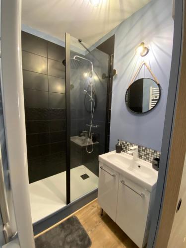 a bathroom with a shower and a sink and a mirror at les Hallettes du havre hyper centre 300 de la mer in Le Havre