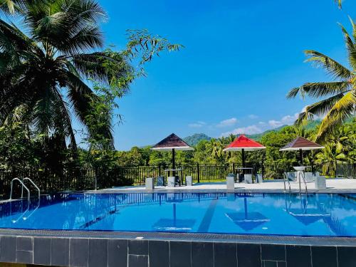 una piscina con sombrillas, mesas y sillas en Travellers Halt, en Ratnapura
