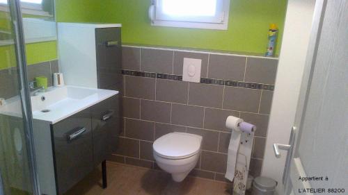 a bathroom with a toilet and a sink at L'ATELIER, chalet 3* in Vecoux