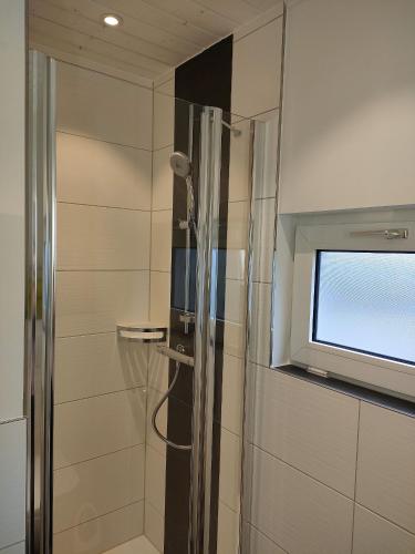 a shower with a glass door and a window in a bathroom at Ferienhaus "Sommerbrise" in Gager