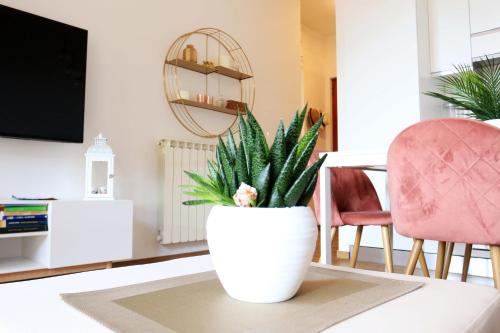 Hidden Gem Apartment with Swimming Pool – Photos 5