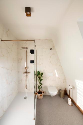 a bathroom with a shower and a toilet at Château de la Chapelle in Anthisnes