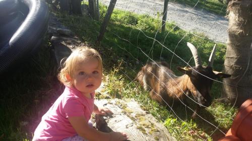 a little girl sitting in the grass next to a goat at Mobilheim Seezauber in Uttendorf