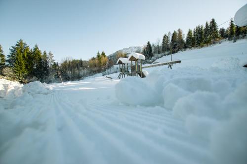 Chalets und Apartments Hauserhof Nassfeld semasa musim sejuk