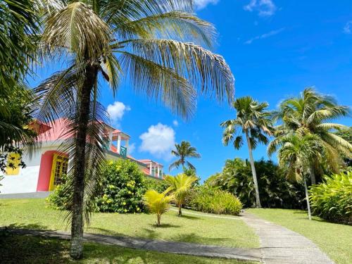 a palm tree in front of a house at Maison charmante à Sainte-Rose + Piscine in Sainte-Rose