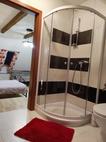a bathroom with a shower with a red rug at Dom Kowala in Jankowce
