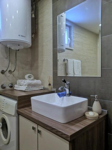 a bathroom with a sink and a washing machine at Apartmani NiS in Pale