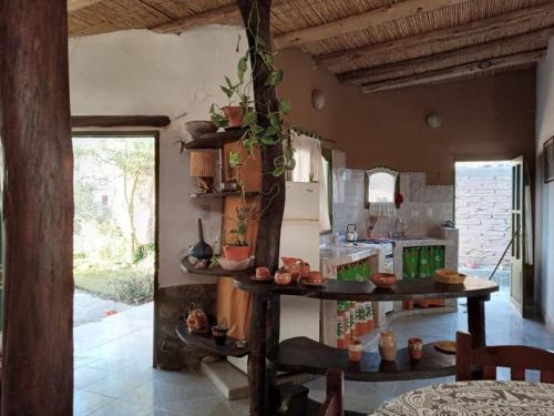 a kitchen with a table with plants on it at La Casa del Molle in San Carlos