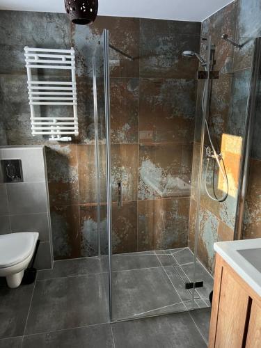 a bathroom with a glass shower with a toilet at Uroczysko Oleśnica in Chodzież