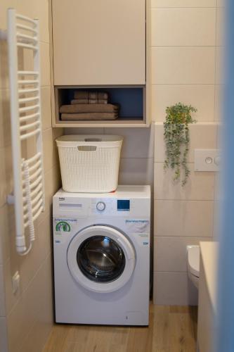 a washing machine in a bathroom next to a toilet at Apartment in Druskininkai City Centre in Druskininkai