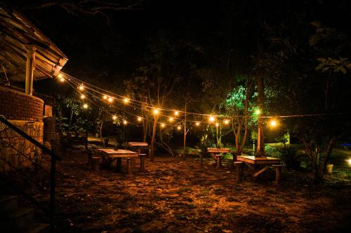 a string of lights in a park at night at Birds Paradise Inn in Udawalawe