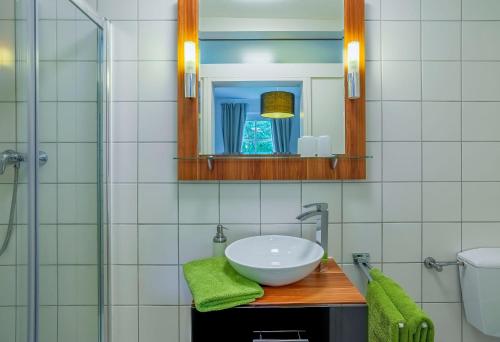 a bathroom with a sink and a mirror at Landgasthof Geiersmühle in Vielbrunn