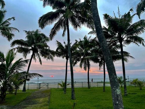 a group of palm trees next to the beach at Veda5 Ayurveda Living Village in Trichūr