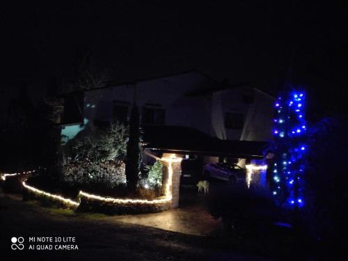 a house decorated with christmas lights in a yard at Da Ronald ... A Pian Del Papa in Pratovecchio
