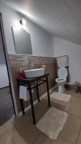 a bathroom with a sink and a toilet at Pensiunea Poiana Soarelui in Ciungetu