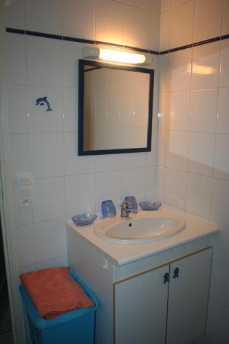 une salle de bain avec un lavabo et un miroir dans l'établissement Etxettipia, à Itxassou