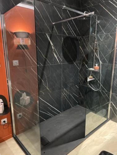 une douche avec une porte vitrée dans une salle de bain dans l'établissement Studio Cosy tt confort proche aéroport, à Colombier-Saugnieu