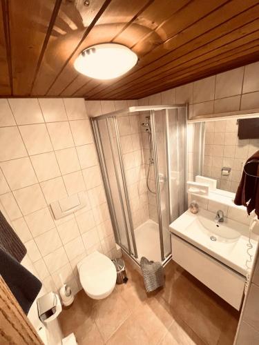 a bathroom with a shower and a toilet and a sink at Pension Kreuzeck - Dein Glücksplatz am Lech in Weissenbach am Lech