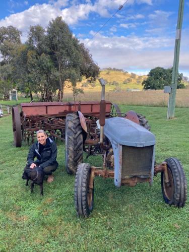 Gallery image of Glenview Alpaca Farm in Yass