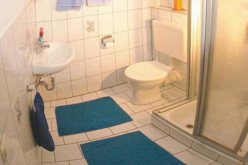 a bathroom with a toilet and a sink with blue mats at Beim Most`l in Grabenstätt