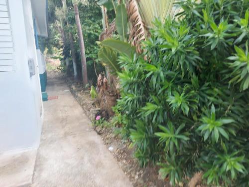  Aquarius Apartments -  Room  picture :   Tea/Coffee maker    Shower    Bath                           