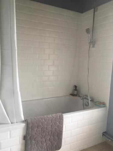 Kylpyhuone majoituspaikassa La Roseaulière