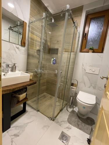 a bathroom with a shower and a toilet and a sink at Villa Lake House in Mavrovo