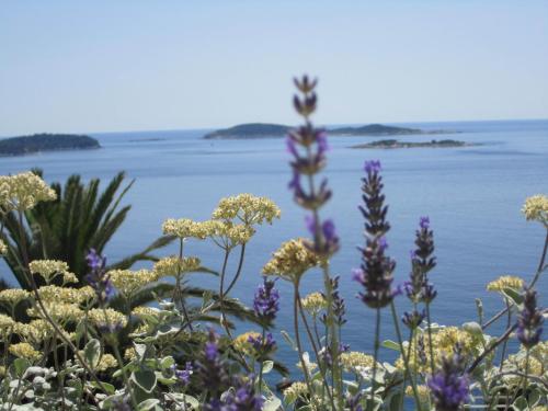 a view of the water with flowers in the foreground at Apartment Infinity Blue in Mlini