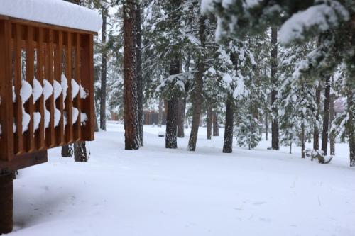 Duck Creek VillageにあるCabin in the National Forest near Brian Head, Bryce Canyon and Zionの雪に覆われた公園のベンチ