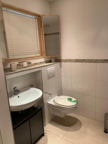 a bathroom with a toilet and a sink at Loftähnliche Ferienwohnung bei Hamburg in Reinbek