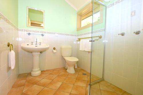 a bathroom with a toilet and a sink and a shower at Mary Villa in Katoomba