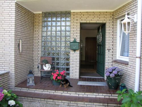 a dog sitting on the porch of a house at Strandhotel-Najade in Borkum