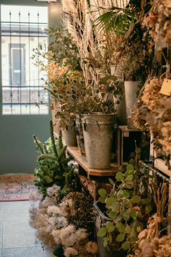 a row of potted plants on a wall at 7 Rooms Hotel & Cafe - 30mins from Disneyland in Tokyo