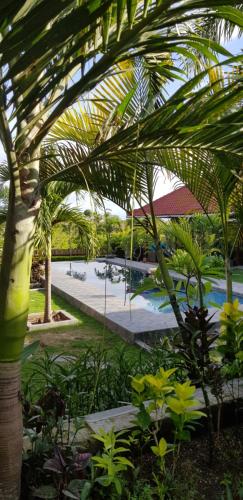 - Vistas a un complejo con piscina y palmeras en Ombak Resort at Ekas , a luxury surf and kite surf destination, en Ekas