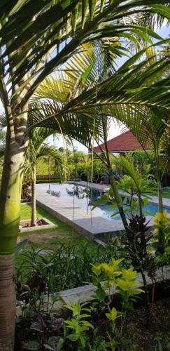 a view of a resort with a pool and palm trees at Ombak Resort at Ekas , a luxury surf and kite surf destination in Ekas