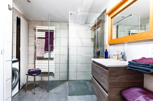 une salle de bain avec un lavabo et une machine à laver dans l'établissement Comfortable Apartment Nyons Private Garden, Wellness, à Nyons