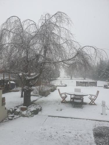 a snow covered park with a picnic table and a tree at Burkes Pass Country Motels in Burkes Pass