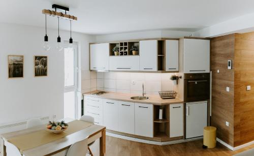 Una cocina o kitchenette en Apartman SREBRNA PAHULJA