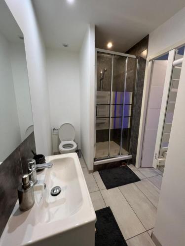 baño blanco con ducha y lavamanos en Superbe appartement en Roanne