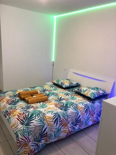 1 cama con 2 almohadas en una habitación en Superbe appartement en Roanne