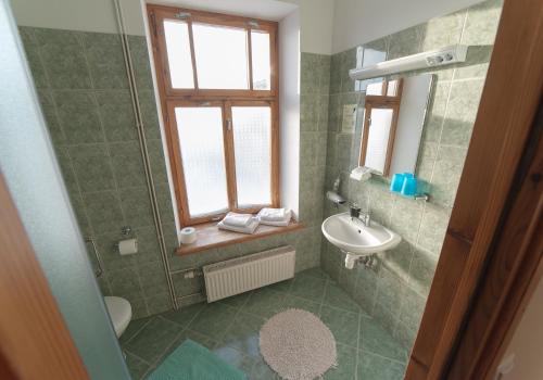 a bathroom with a sink and a toilet and a window at Hotel Katrina in Cēsis