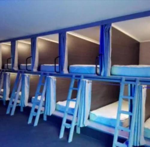 a group of blue bunk beds in a room at Swansea Backpackers in Swansea